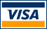 Visa Card Logo